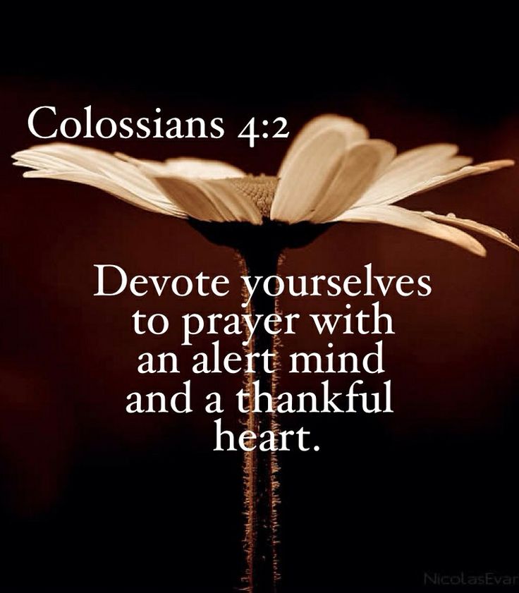 Devote yourselves to prayer with an alert mind and a thankful heart